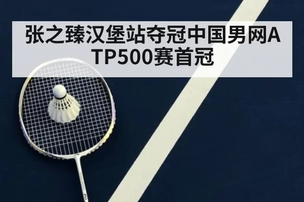张之臻汉堡站夺冠中国男网ATP500赛首冠（mksports）
