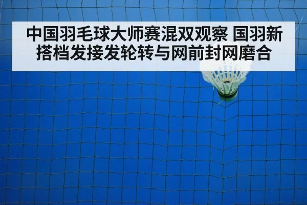 badminton net play
